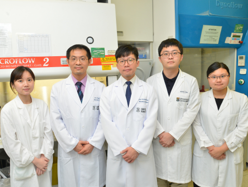Professor Michael Huen Shing-yan, School of Biomedical Sciences and Assistant Dean (Innovation and Technology), HKUMed (middle); Dr Yu Cheng-han, Assistant Professor, School of Biomedical Sciences, HKUMed (2nd left); PhD students: Mr Dong Chao (2nd right), Ms Tan Xin-yi (1st left) and Ms Li Jun-shi (1st right) of the Michael Huen Laboratory, School of Biomedical Sciences, HKUMed.
